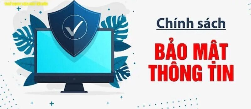 Quyền và nghĩa vụ của người chơi